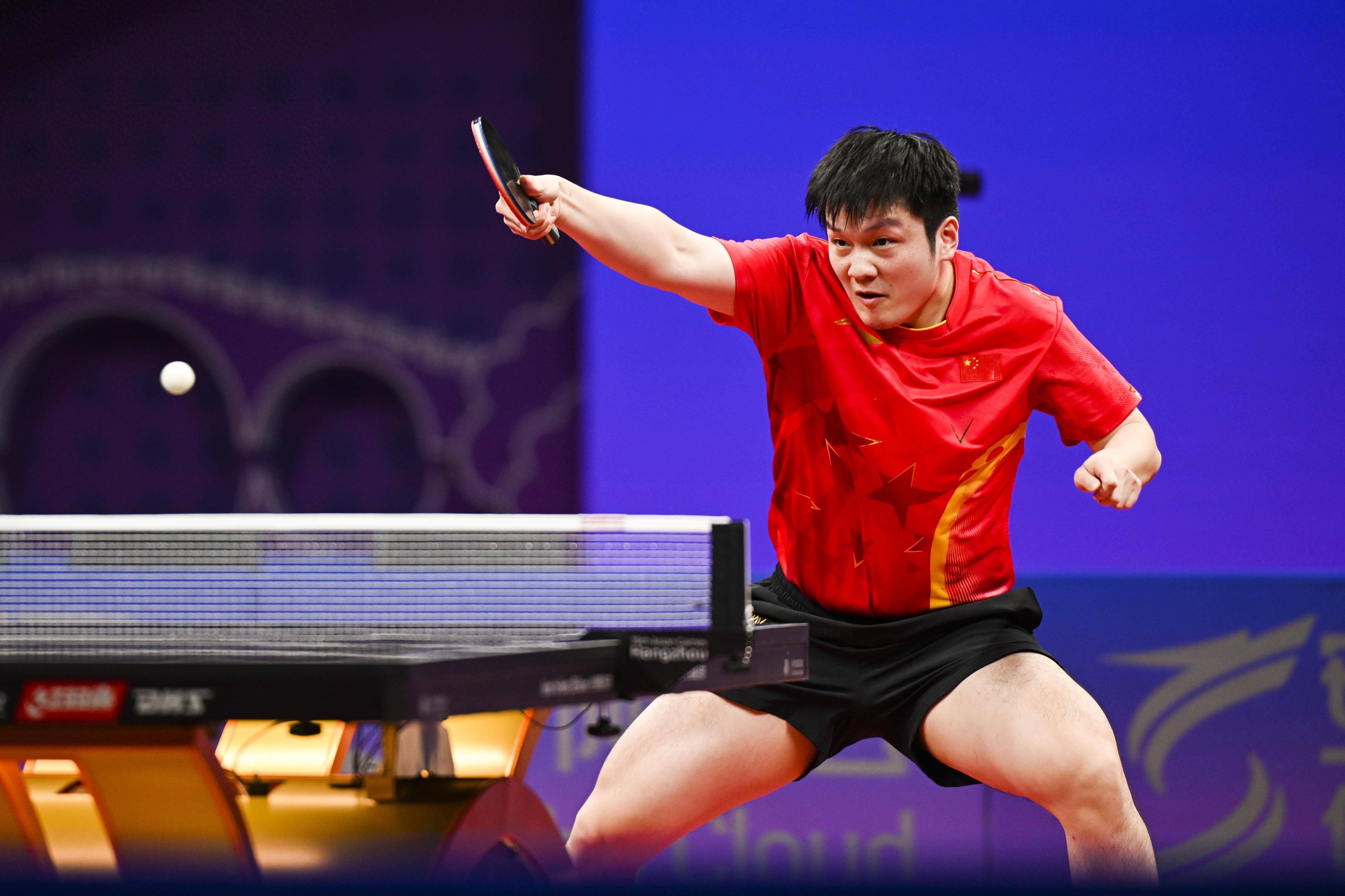 波兰乒乓球队强势法国乒乓球队,樊振东惊艳世界的简单介绍 波兰乒乓球队强势法国乒乓球队,樊振东惊艳世界的简单介绍