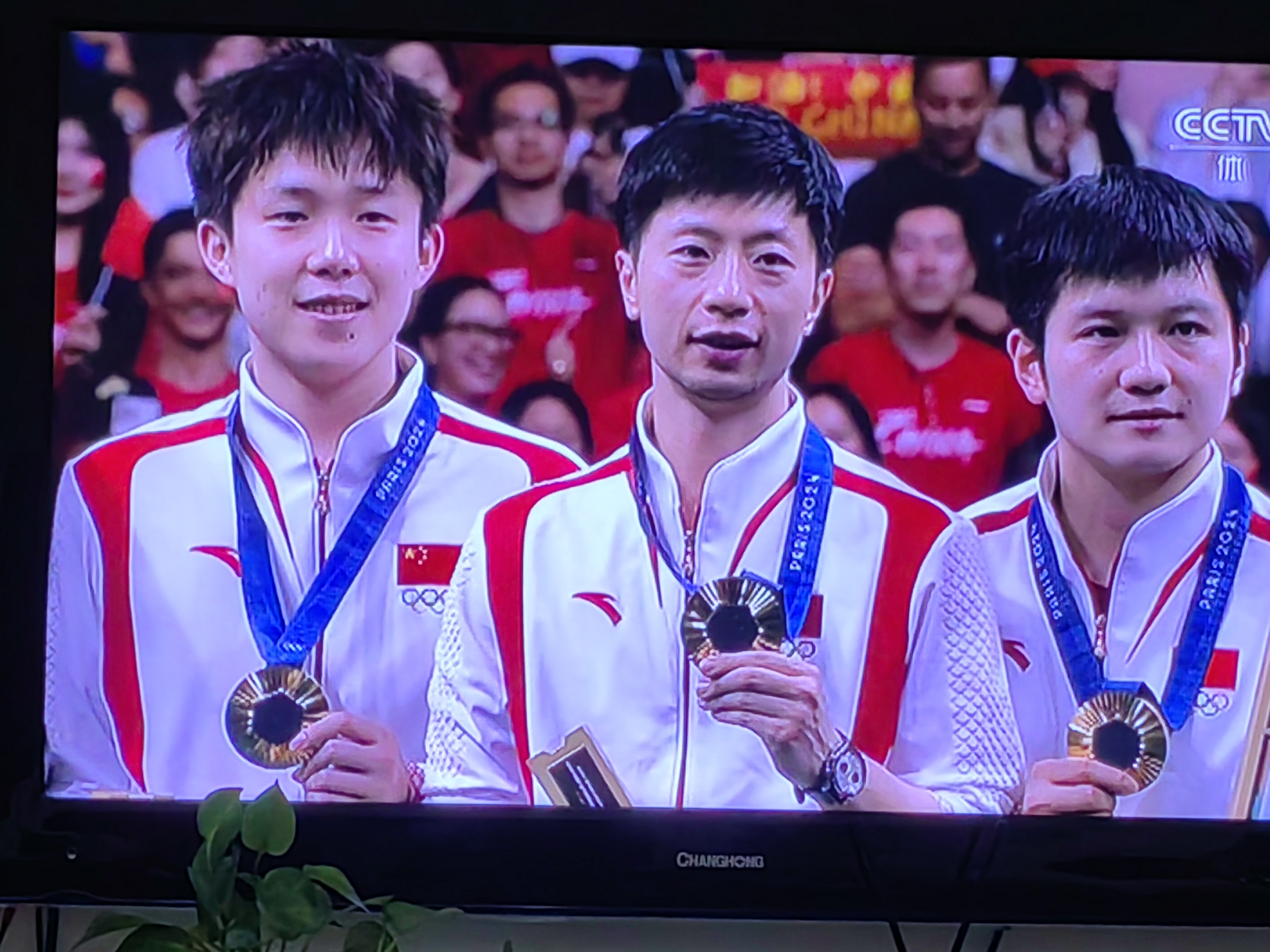 中国乒乓球队鏖战瑞典乒乓球队,波尔统治全场的简单介绍 中国乒乓球队鏖战瑞典乒乓球队,波尔统治全场的简单介绍