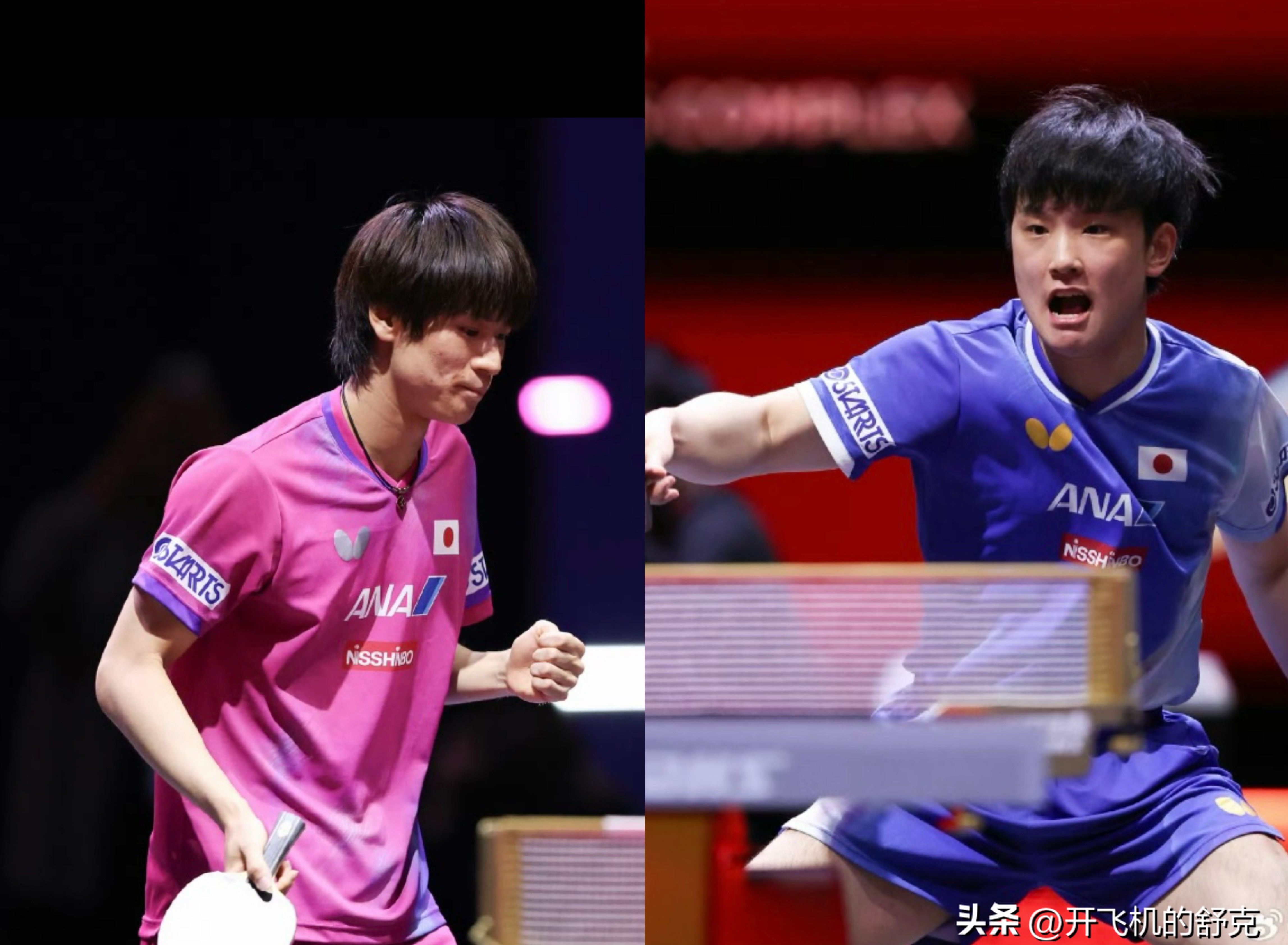 关于日本乒乓球队险胜瑞典乒乓球队,波尔制霸全场的信息 关于日本乒乓球队险胜瑞典乒乓球队,波尔制霸全场的信息