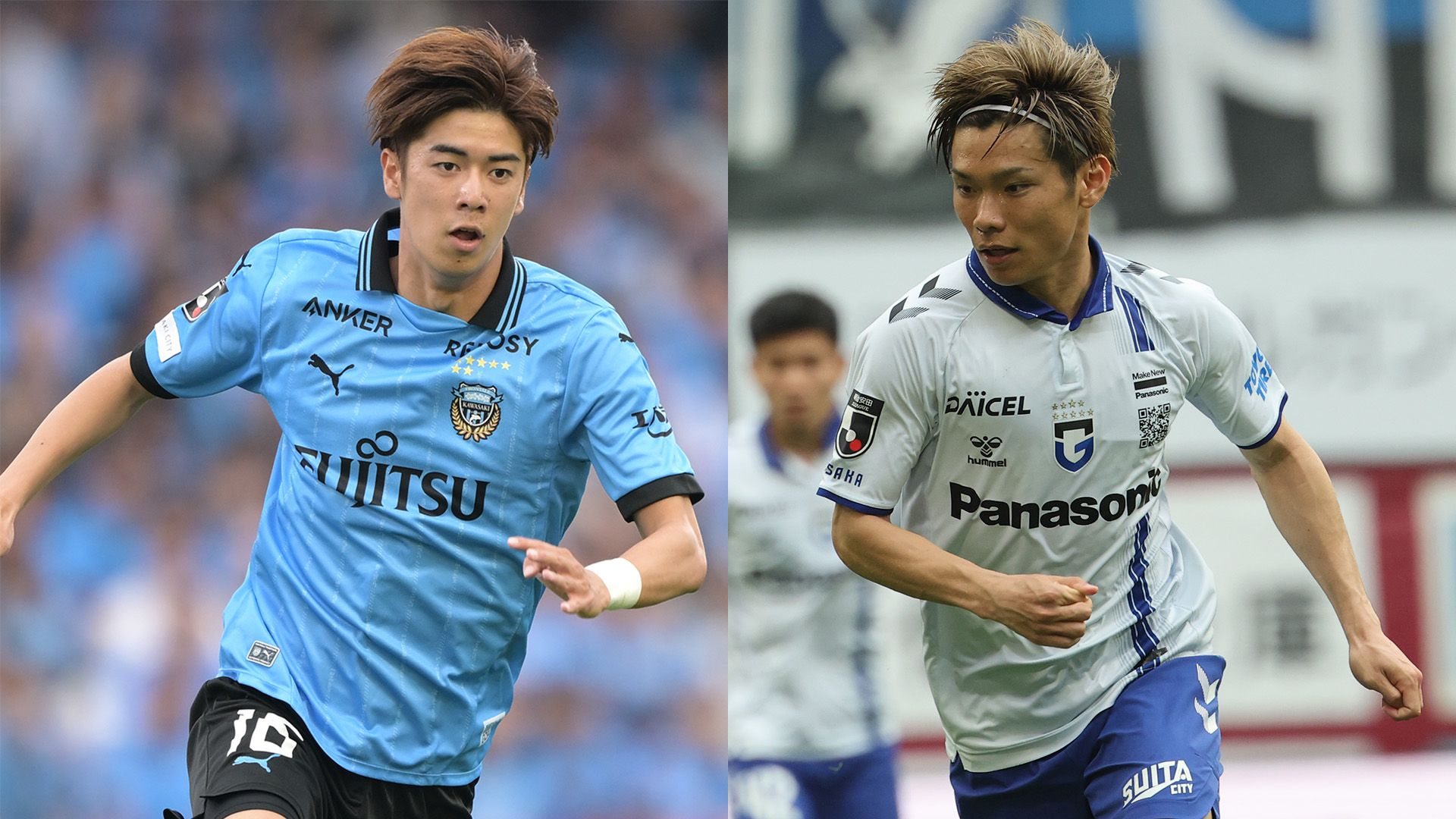 开云官网-包含日本篮球职业联赛升级赛强者展示的词条