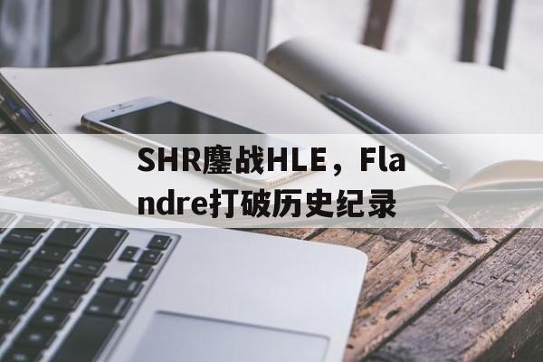 SHR鏖战HLE，Flandre打破历史纪录的简单介绍