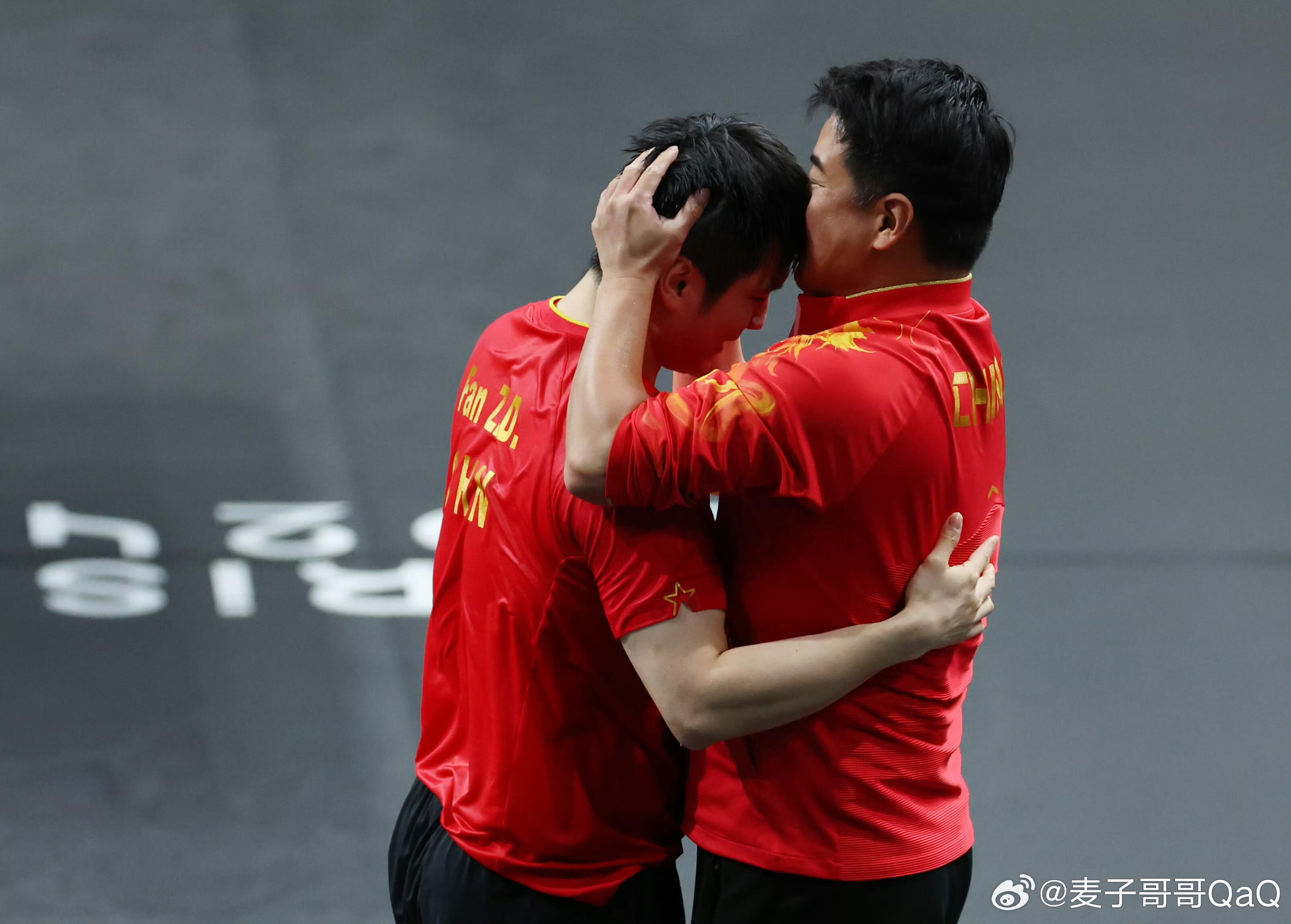 德国队鏖战法国队，樊振东刷新纪录的简单介绍